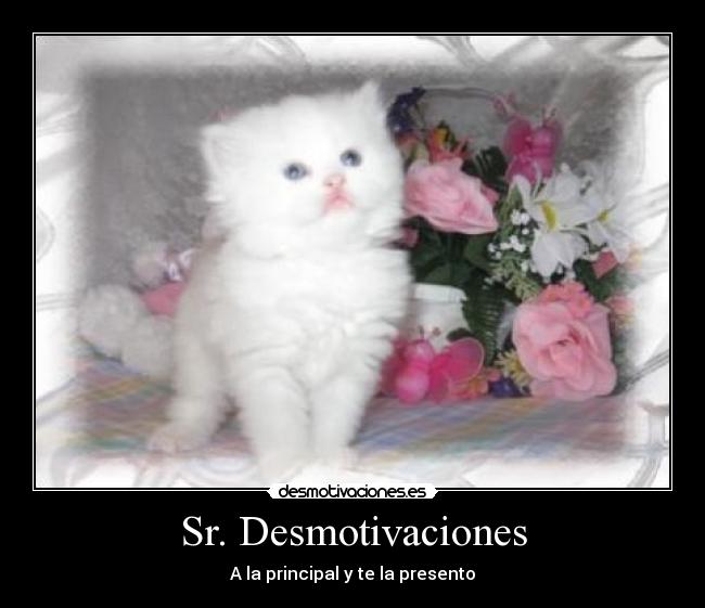 Sr. Desmotivaciones - A la principal y te la presento