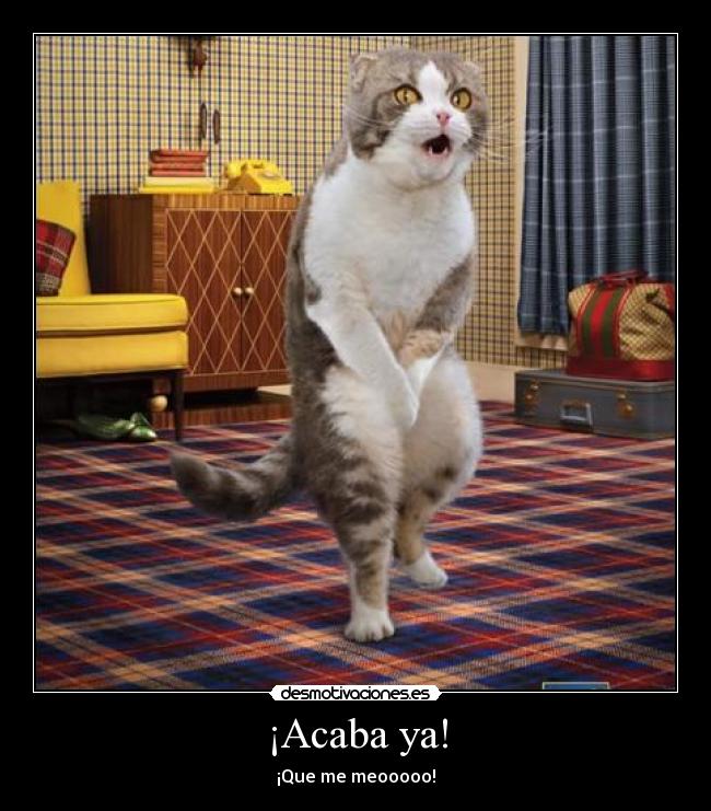 ¡Acaba ya! - ¡Que me meooooo!