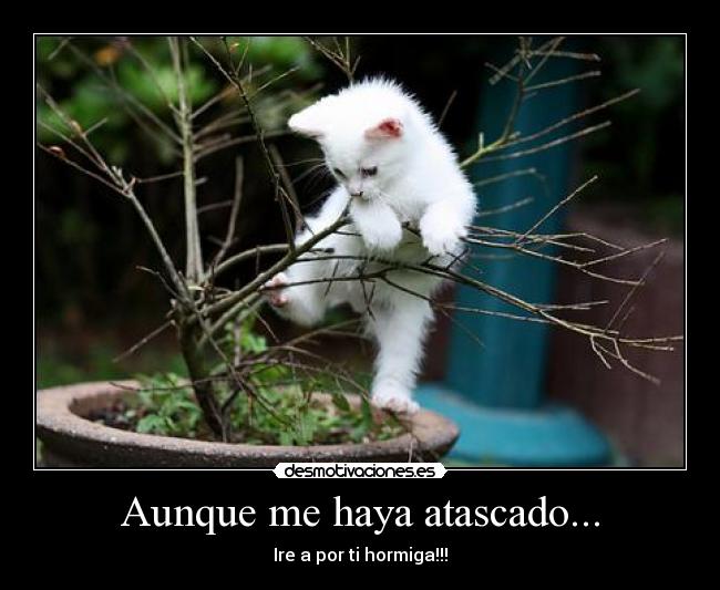 Aunque me haya atascado... -