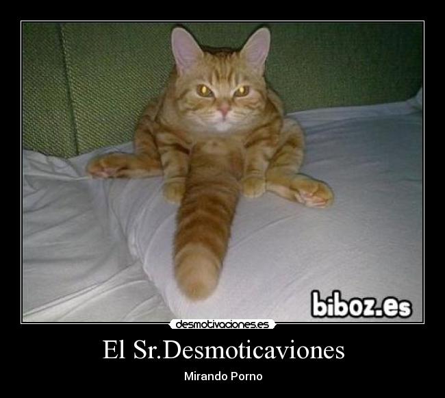 El Sr.Desmoticaviones -