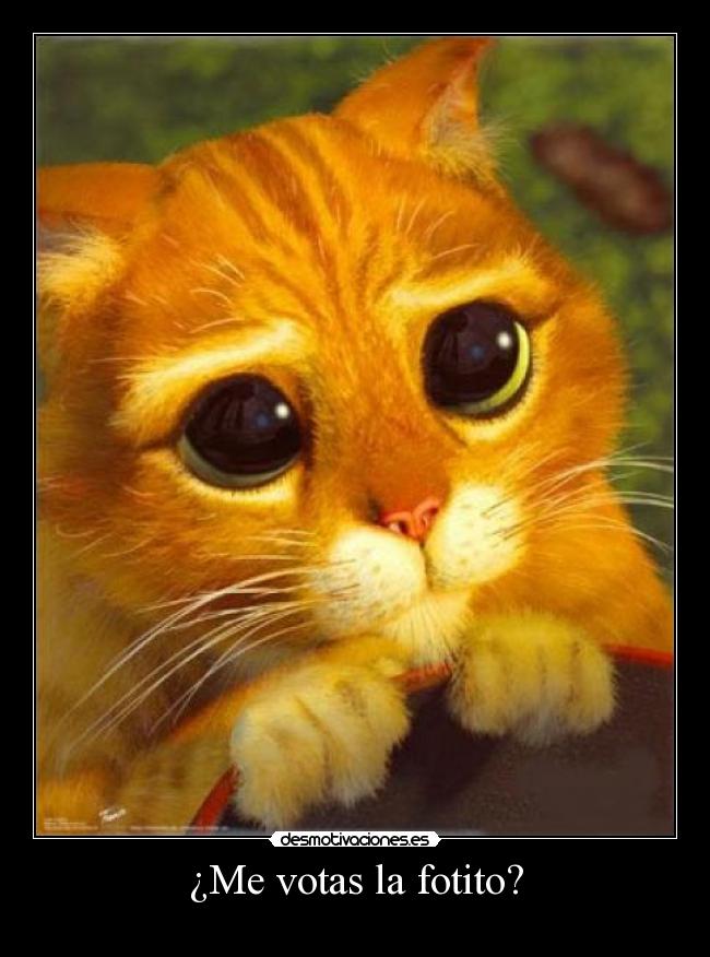¿Me votas la fotito? -