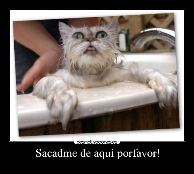 Sacadme de aqui porfavor! -