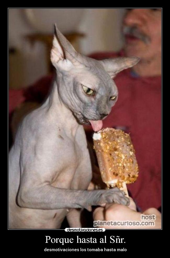 Porque hasta al Sñr. - desmotivaciones los tomaba hasta malo