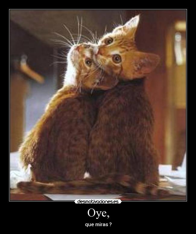 carteles que miras desmotivaciones