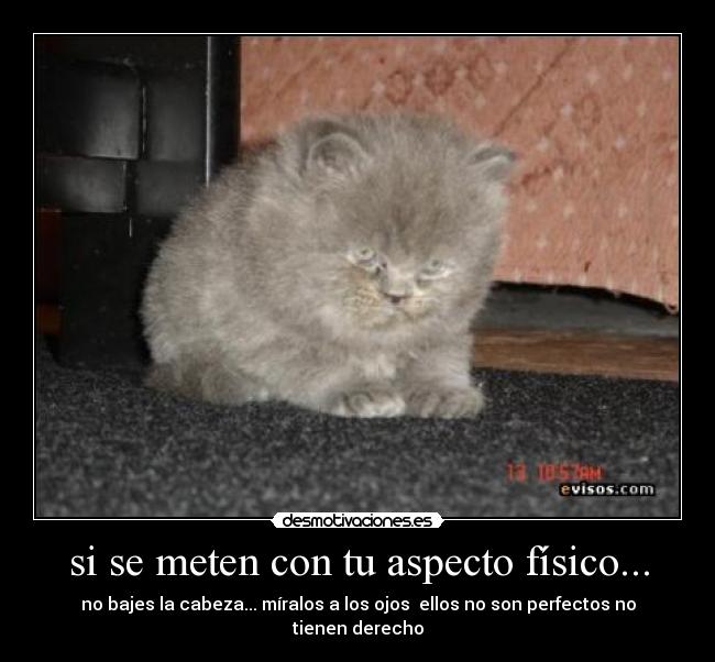 si se meten con tu aspecto físico... - no bajes la cabeza... míralos a los ojos ellos no son perfectos no tienen derecho