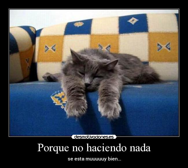 Porque no haciendo nada - se esta muuuuuy bien...