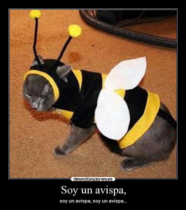 Soy un avispa, - soy un avispa, soy un avispa...