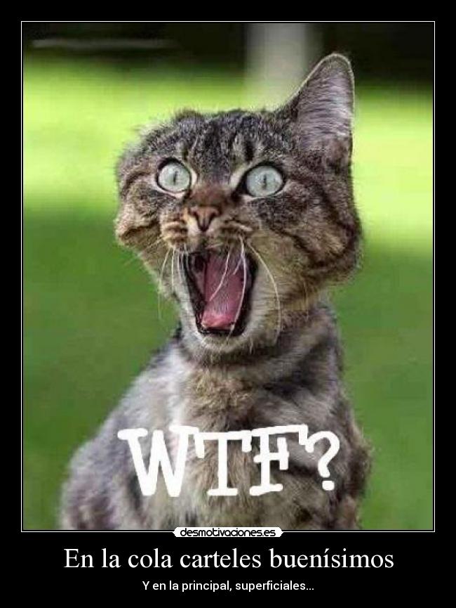 En la cola carteles buenísimos -