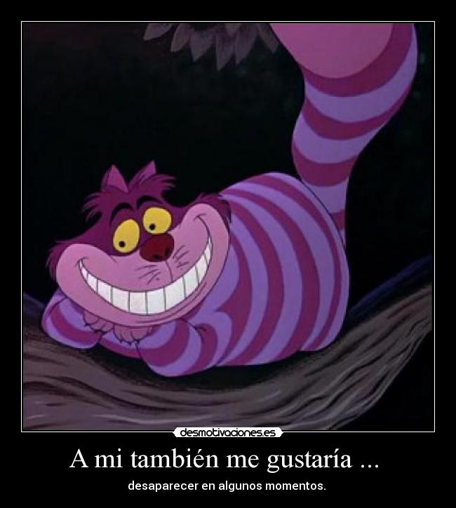 carteles desaparecer desmotivaciones