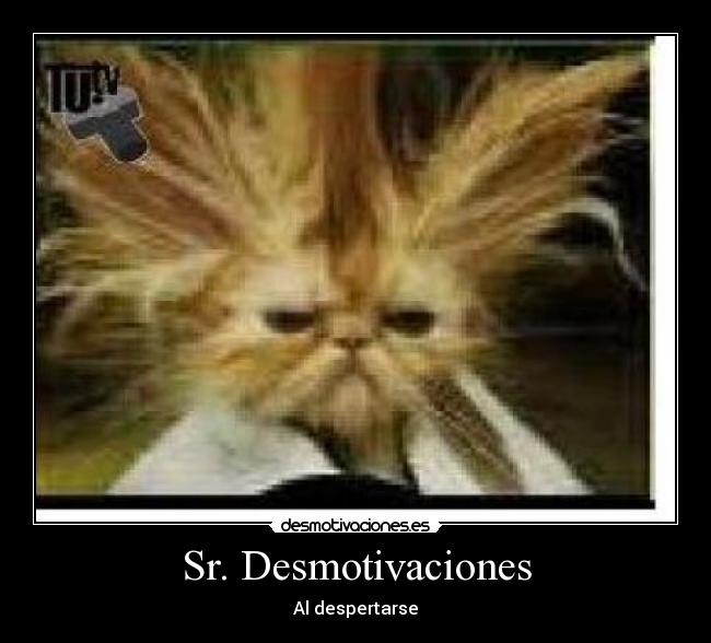 Sr. Desmotivaciones -