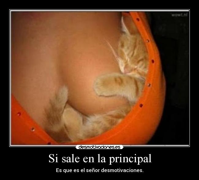 Si sale en la principal - 