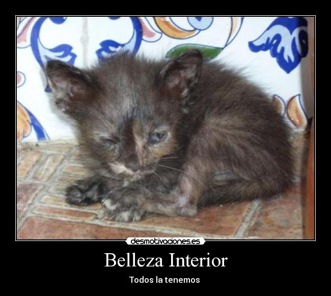 carteles guille desmotivaciones