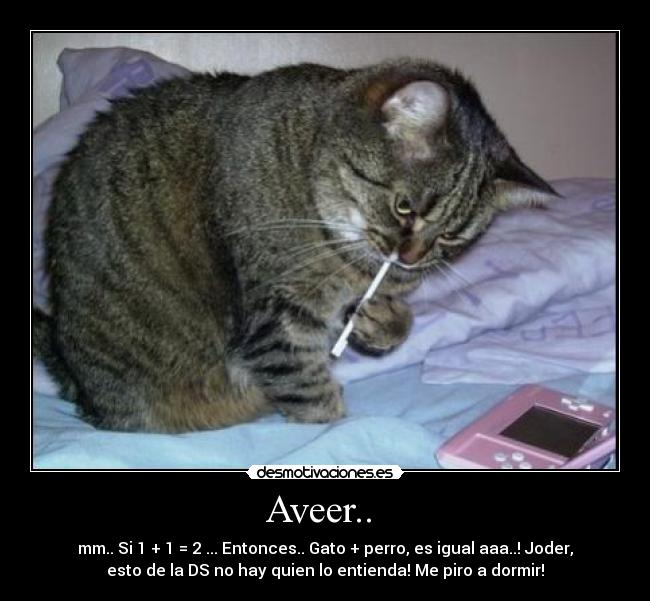 Aveer..  - mm.. Si 1 + 1 = 2 ... Entonces.. Gato + perro, es igual aaa..! Joder,
esto de la DS no hay quien lo entienda! Me piro a dormir!
