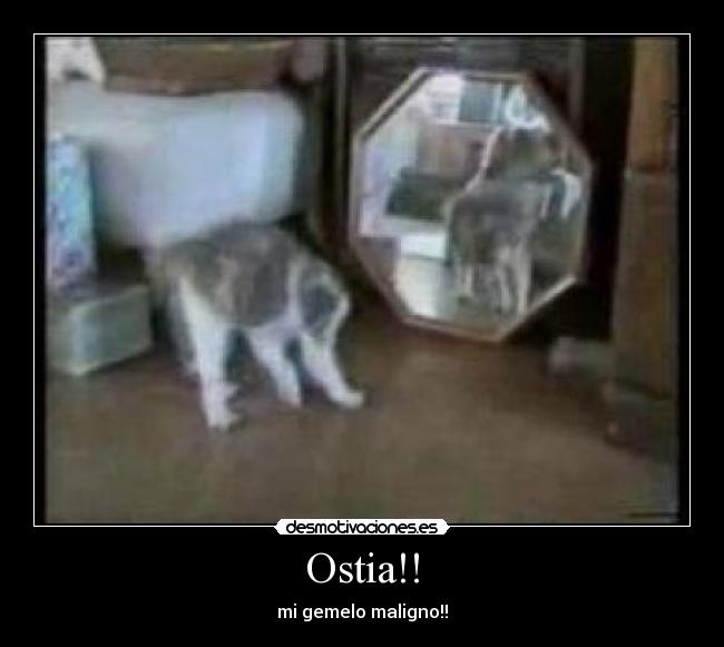 Ostia!! -