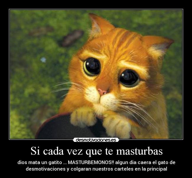 carteles gato desmotivaciones