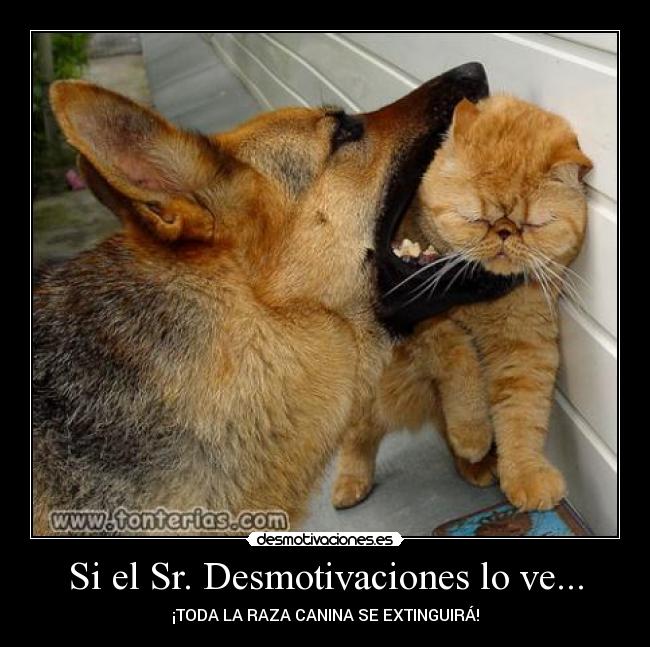 Si el Sr. Desmotivaciones lo ve... - 