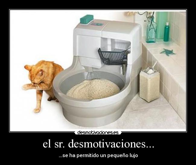 el sr. desmotivaciones... -