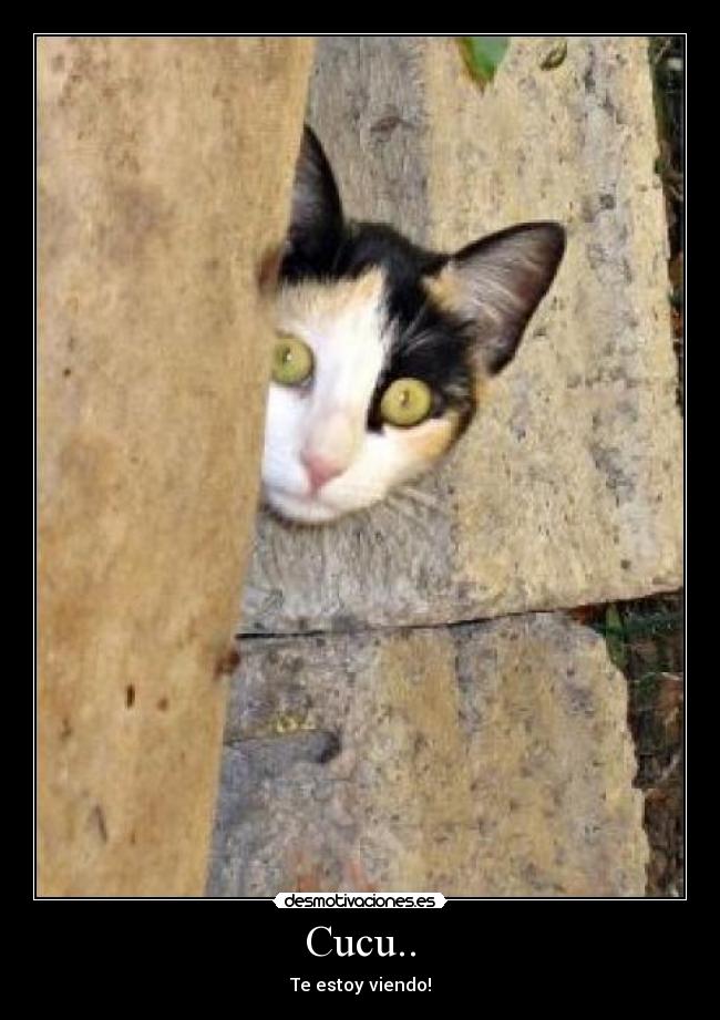 Cucu.. - Te estoy viendo!