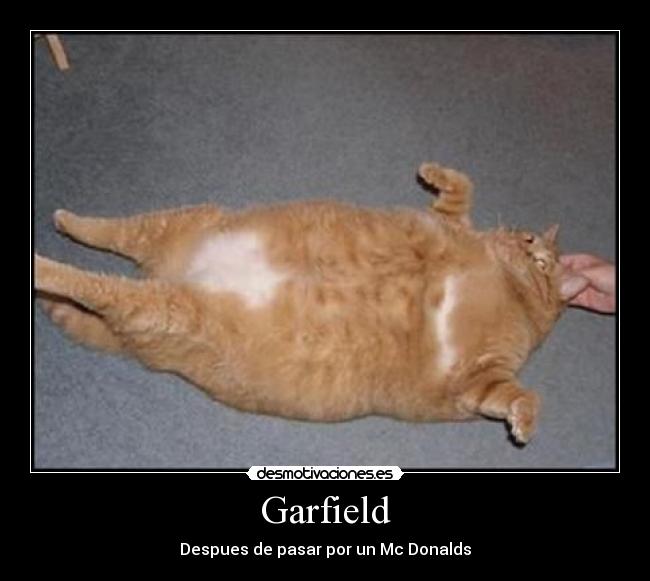Garfield - Despues de pasar por un Mc Donalds