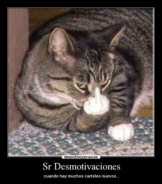 Sr Desmotivaciones - cuando hay muchos carteles nuevos...