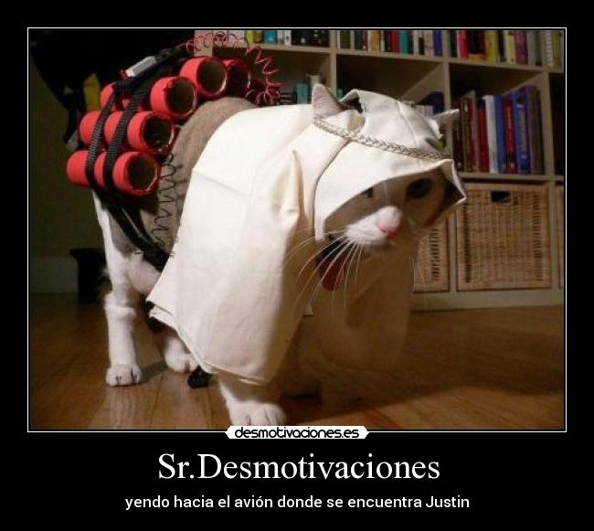 Sr.Desmotivaciones - yendo hacia el avión donde se encuentra Justin