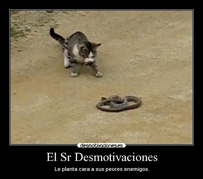 El Sr Desmotivaciones - 