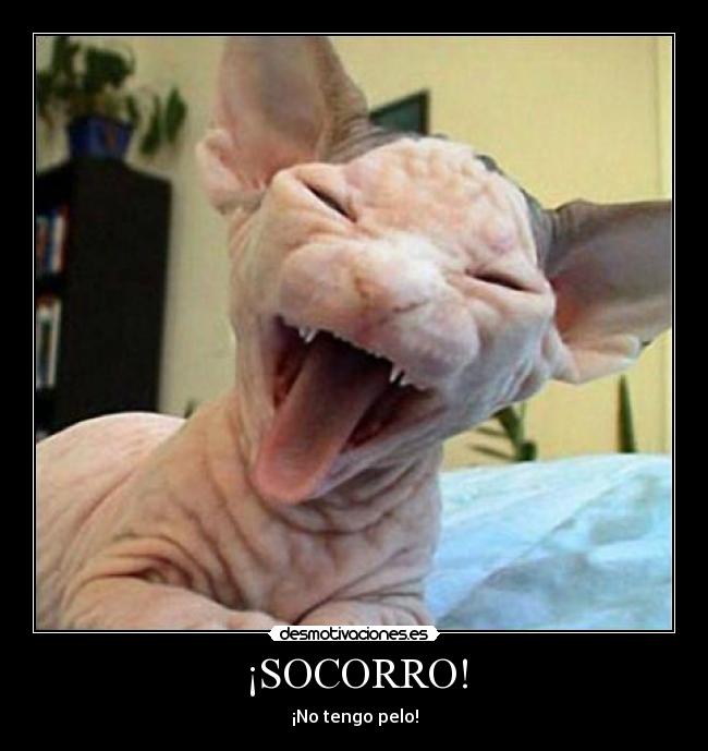 ¡SOCORRO! -