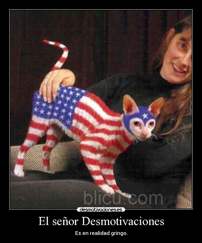 El señor Desmotivaciones - Es en realidad gringo.