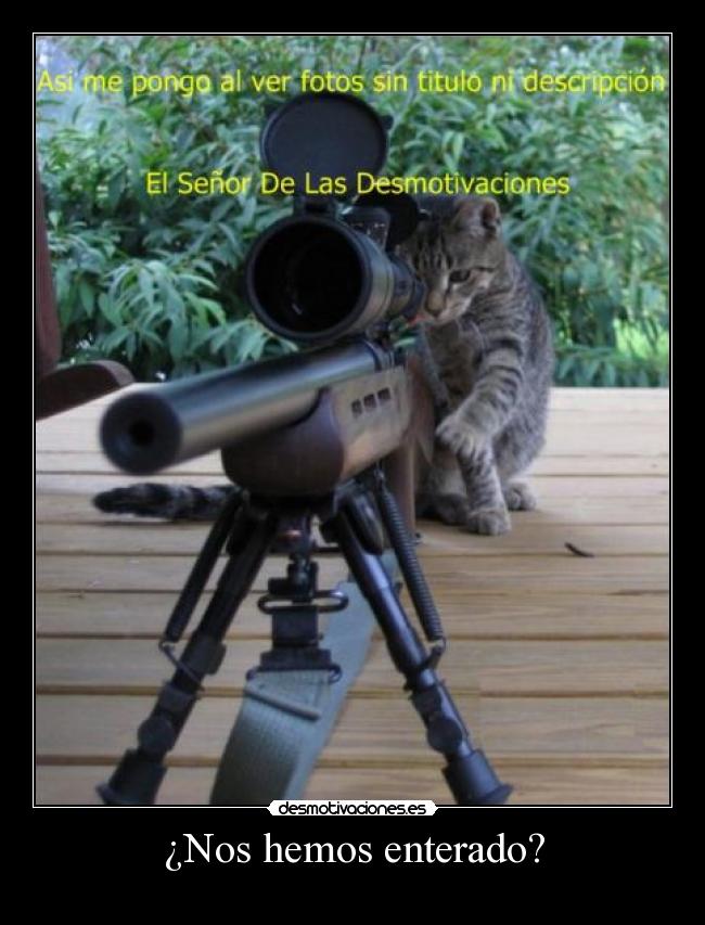 ¿Nos hemos enterado? -