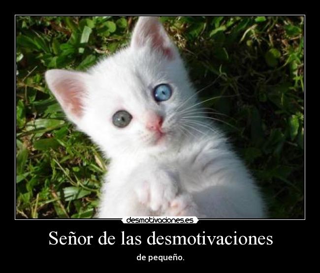 Señor de las desmotivaciones - 