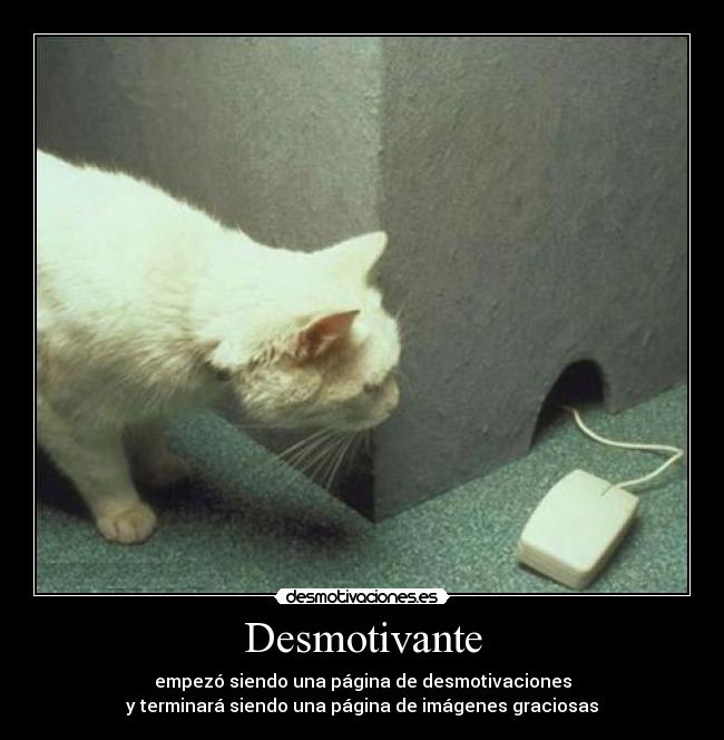 Desmotivante - 