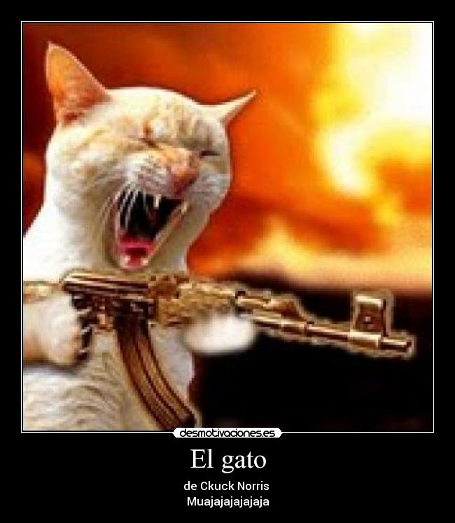El gato - 