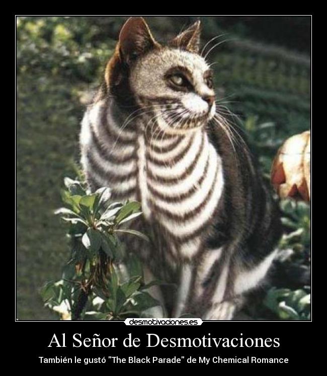 Al Señor de Desmotivaciones - También le gustó The Black Parade de My Chemical Romance