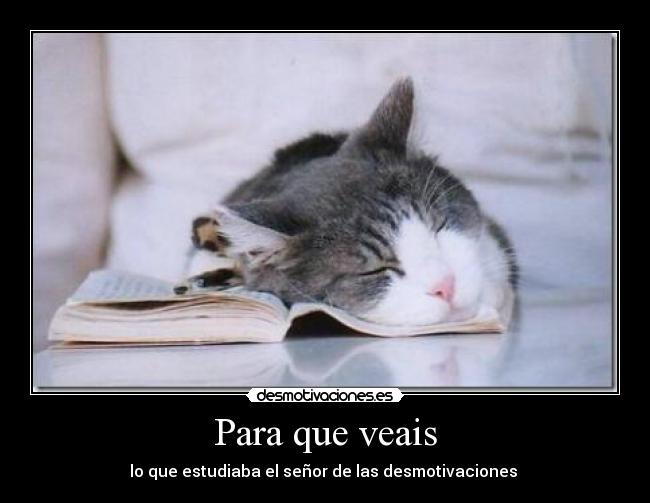 Para que veais - lo que estudiaba el señor de las desmotivaciones