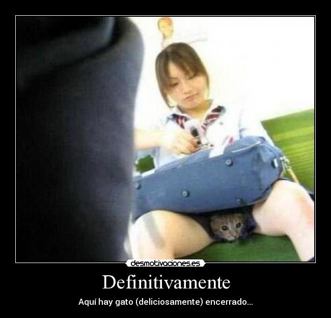 Definitivamente - Aquí hay gato (deliciosamente) encerrado...