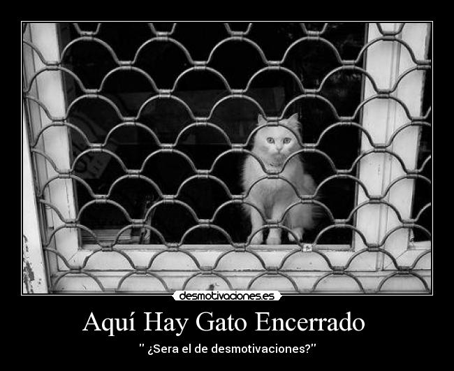 Aquí Hay Gato Encerrado  - 