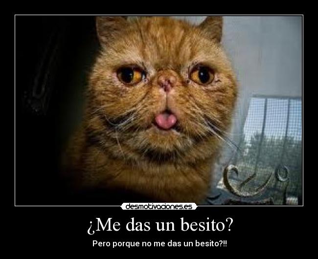 ¿Me das un besito? - Pero porque no me das un besito?!!