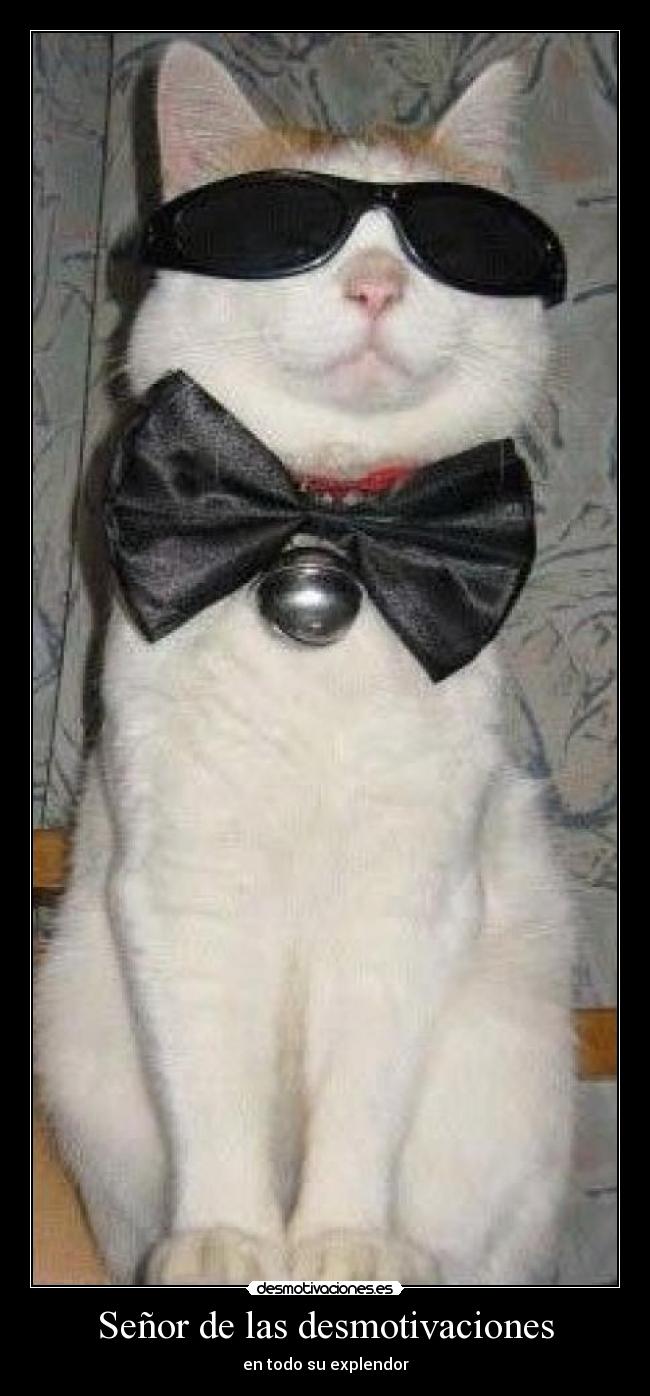 Señor de las desmotivaciones -