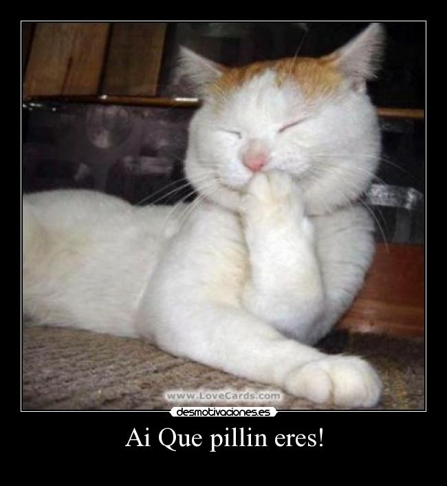 Ai Que pillin eres! -