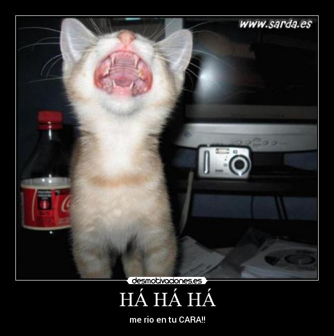 HÁ HÁ HÁ - me rio en tu CARA!!