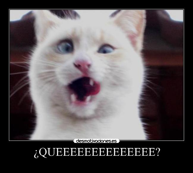 ¿QUEEEEEEEEEEEEEE? - 