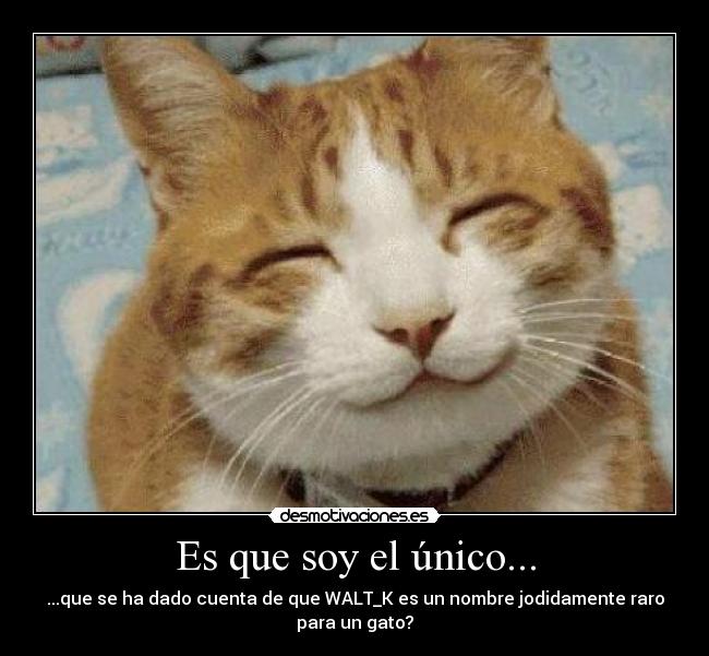 carteles walt_k gatosnombre raro desmotivaciones