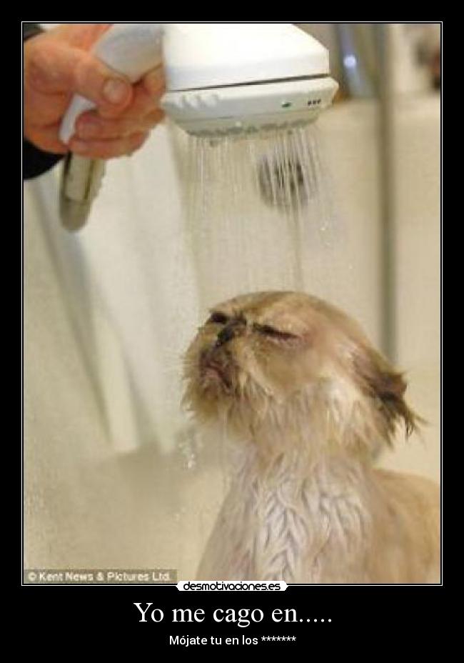 Yo me cago en..... -