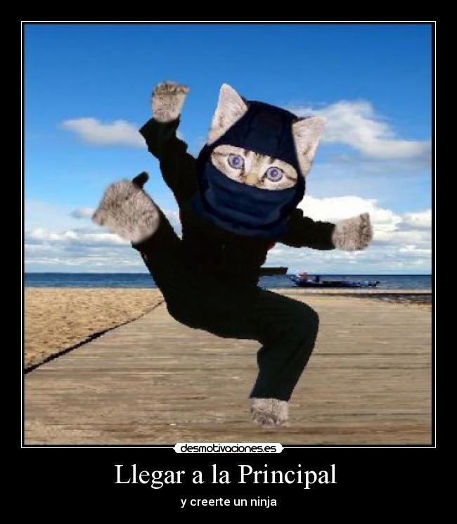 Llegar a la Principal  - y creerte un ninja