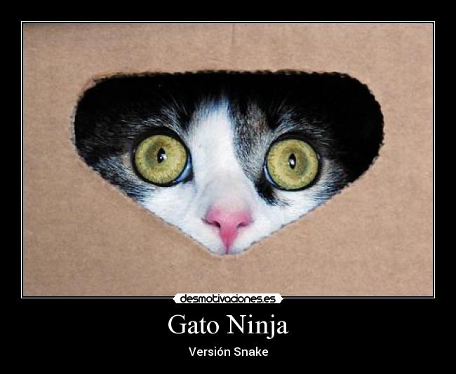 Gato Ninja - Versión Snake
