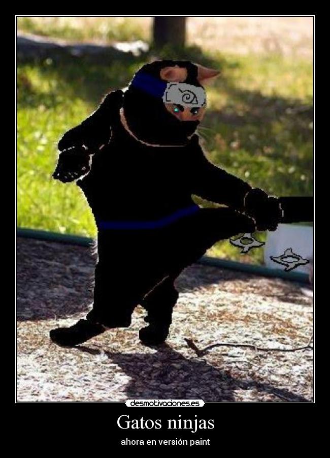 Gatos ninjas - ahora en versión paint