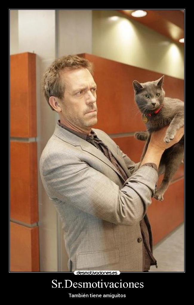 Sr.Desmotivaciones - También tiene amiguitos