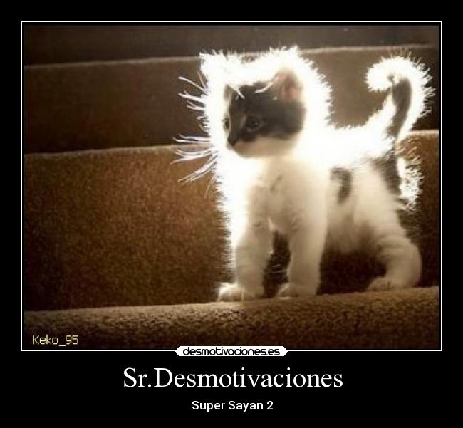 Sr.Desmotivaciones - Super Sayan 2