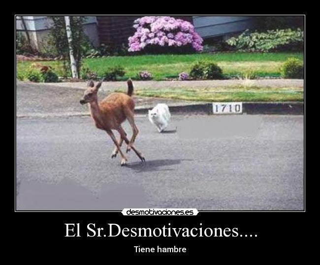 El Sr.Desmotivaciones.... - Tiene hambre