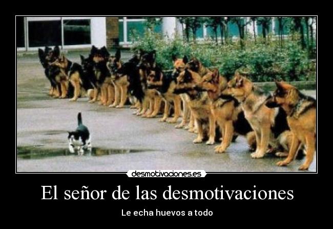 El señor de las desmotivaciones - 